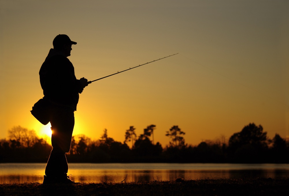 Fly Fisherman Silhouette