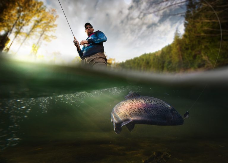 Fly Fishing Minnesota An Angler's Guide Into Fly Fishing