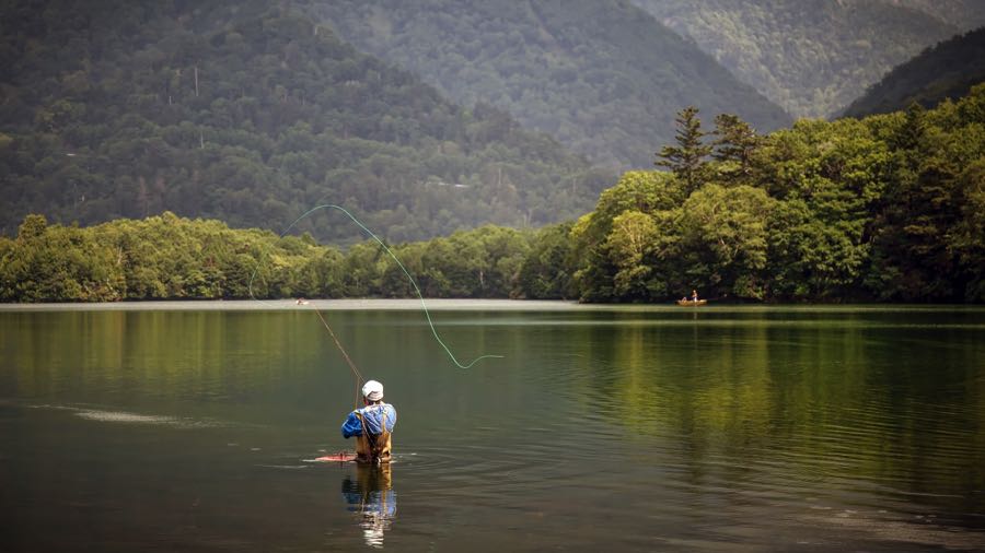 Standard Prime Big Game #9WT, Weight Forward Floating Fly Line