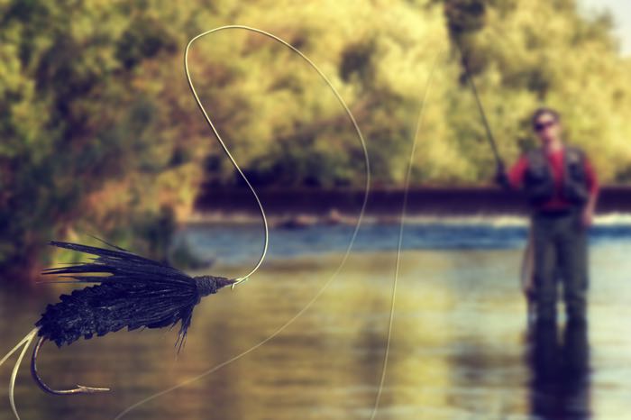 Fly Fishing Presentation