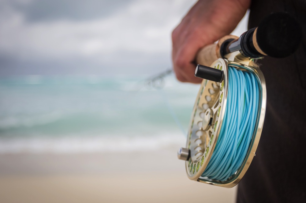 Best Saltwater Fly Line in 2023 - Into Fly Fishing