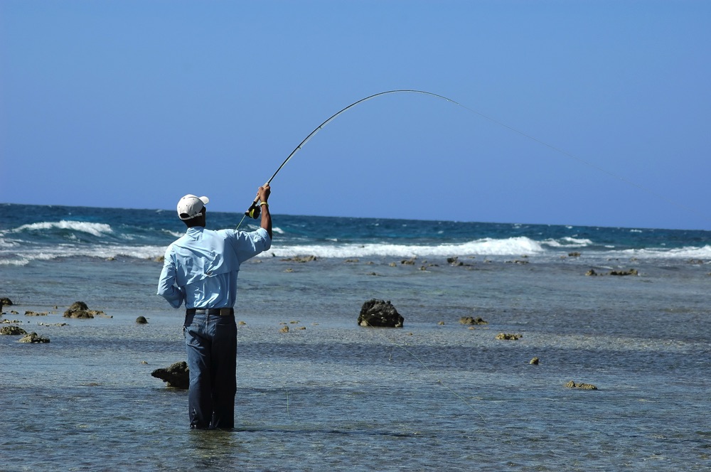 Keel (Avalon) Shrimp S2 Fishing Fly, Saltwater