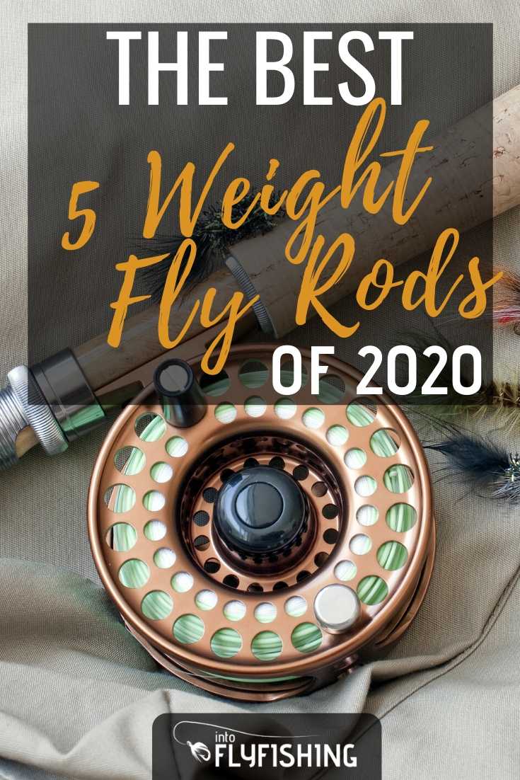 The Best 5 Weight Fly Rods You Can Buy in 2021 (A Buyer's Guide)