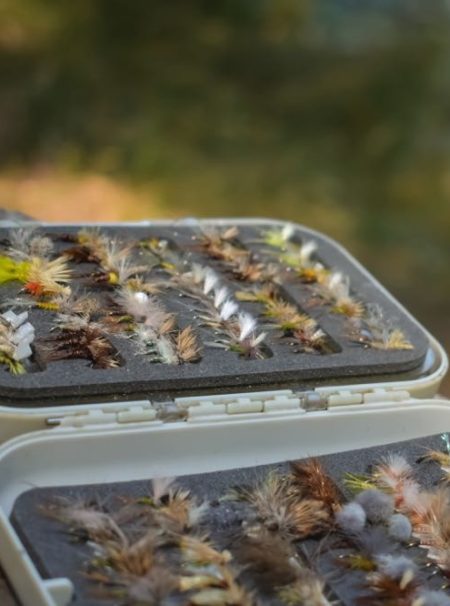 best flies in a box