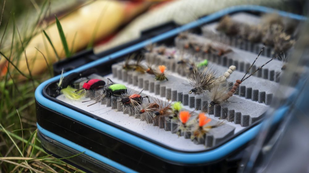 Fly Fishing Flies - Terrestrials Type of Fly