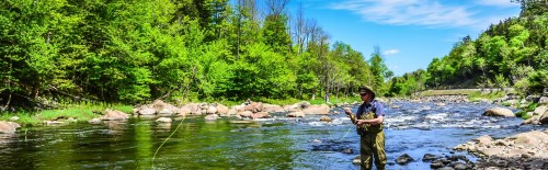 Fly Fishing in New York Featured Image River