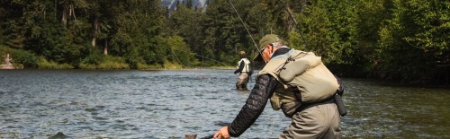 Man Netting a fish fly fishing
