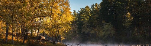 Minnesota Fly Fishing River Sunrise Fall