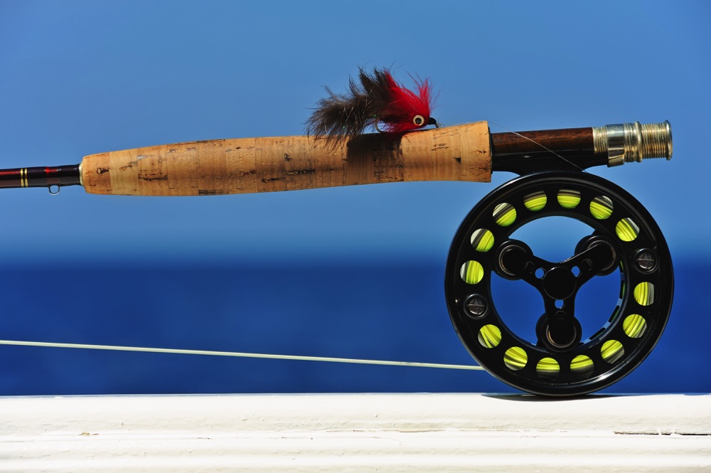 Best Saltwater Fly Line in 2023 - Into Fly Fishing