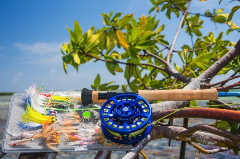 5 Best Saltwater Fly Rods (2023 Buyer's Guide) Into Fly Fishing
