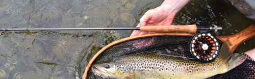 The Best Fly Fishing 3 weight lines