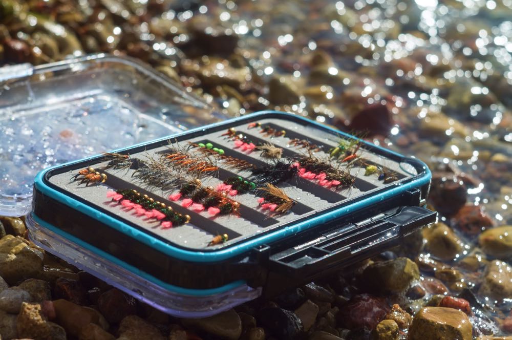 20 Compartment Clear Poly Fly Box - The Trout Spot