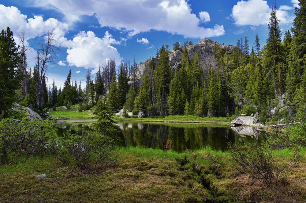 Fly Fishing Wyoming: An Angler's Guide - Into Fly Fishing