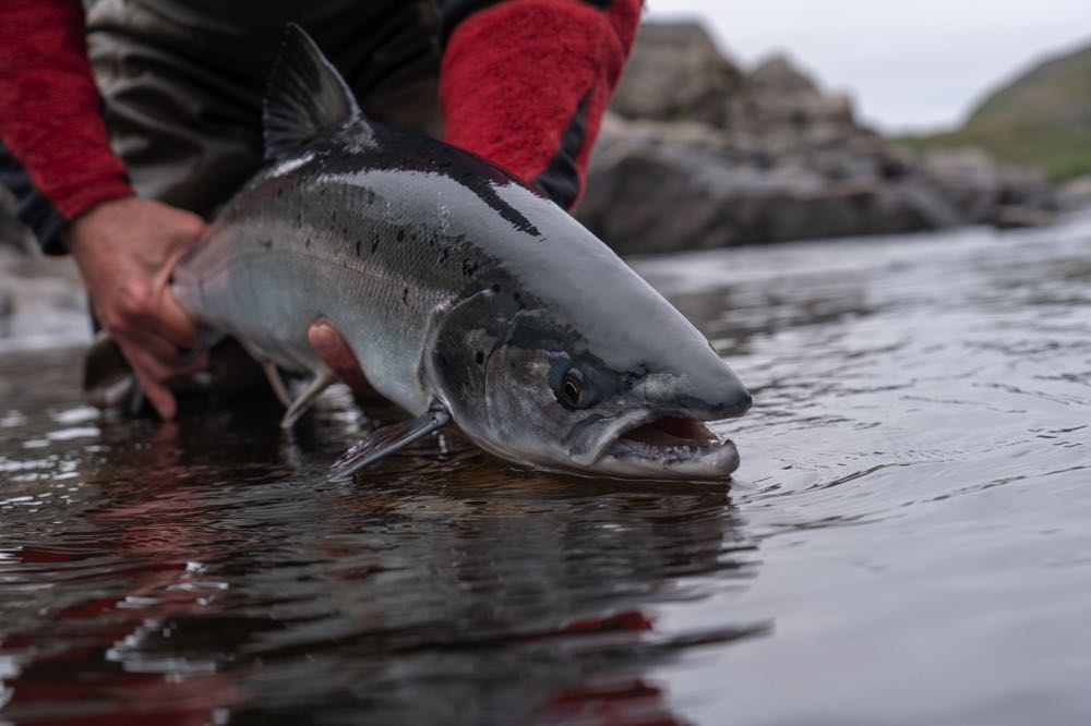 Best 7 Weight Fly Reels (2023 Buyer's Guide) - Into Fly Fishing