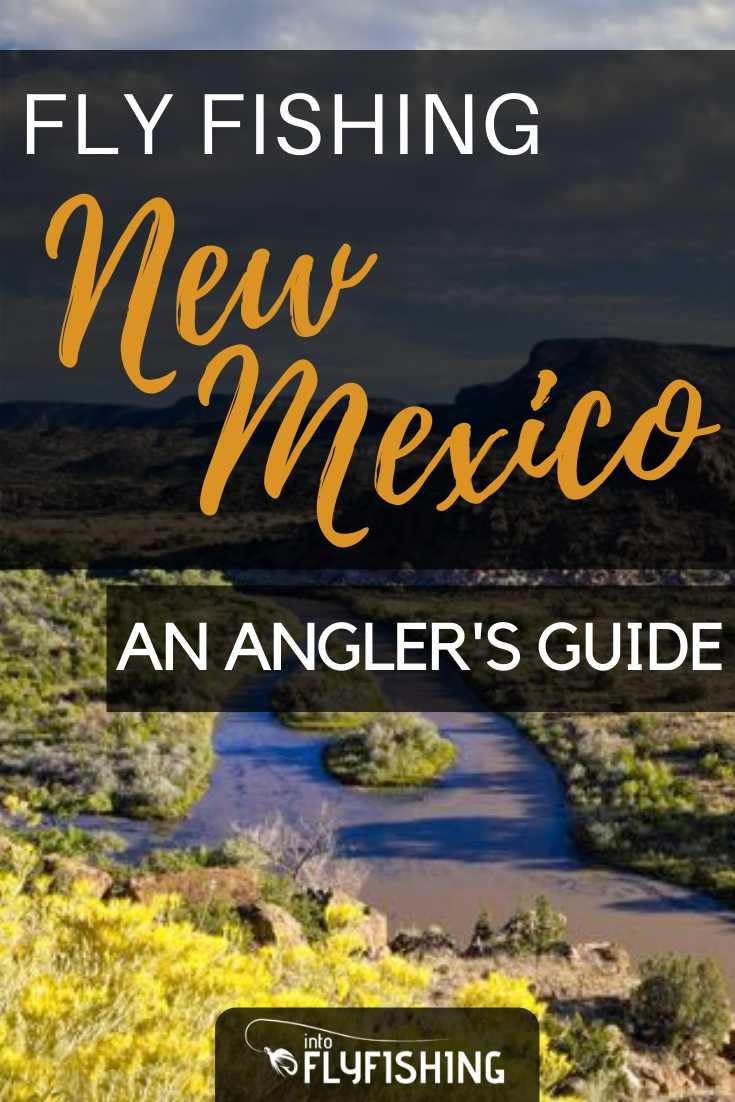 Fly Fishing New Mexico: An Angler's Guide