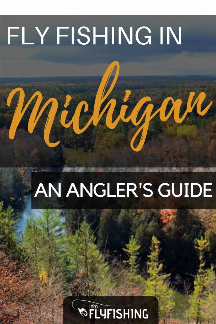 Fly Fishing in Michigan An Angler's Guide Into Fly Fishing