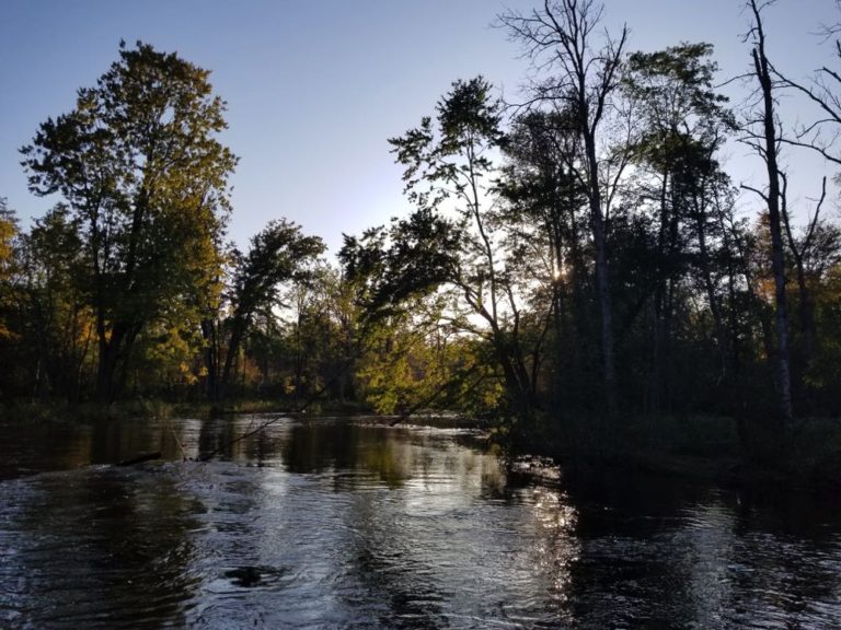 Fly Fishing in Michigan An Angler's Guide Into Fly Fishing