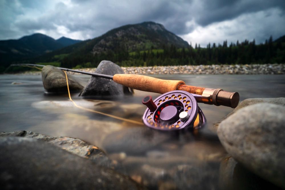 Top 5 Small Stream Fly Rods