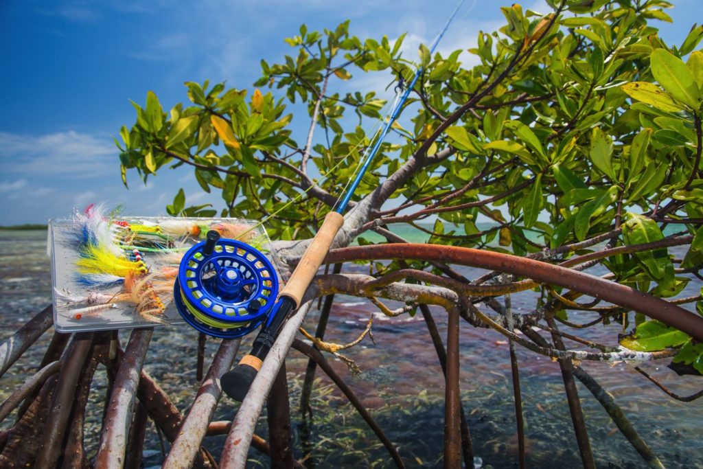 Best Saltwater Fly Line Featured Image