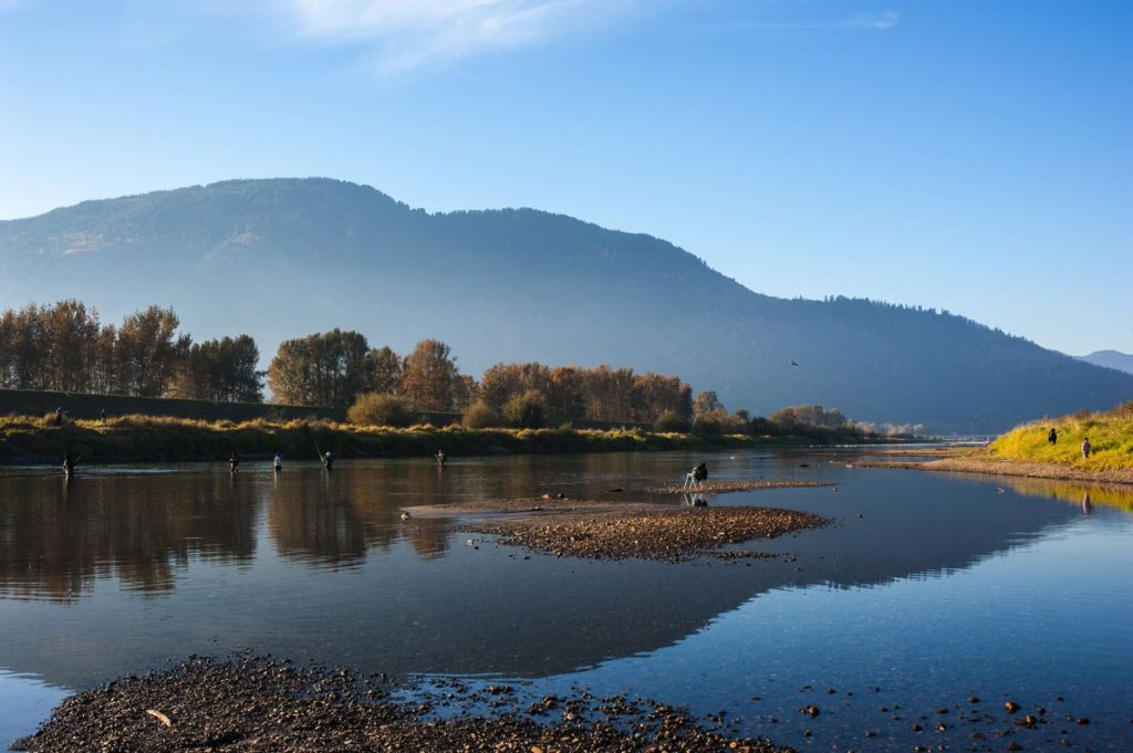 Fly Fishing in British Columbia Featured Image