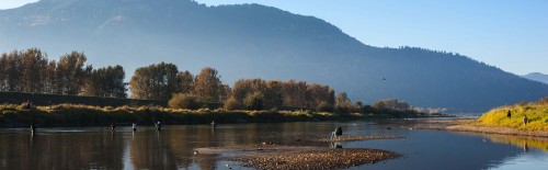 Fly Fishing in British Columbia Featured Image