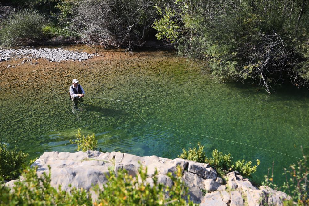 Best Fly Line for Trout (2023 Buyer's Guide) - Into Fly Fishing