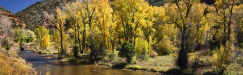 Frying Pan River Colorado