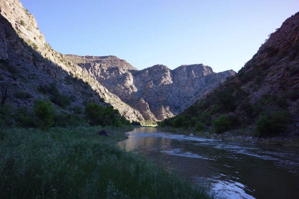 Gunnison River In Colorado