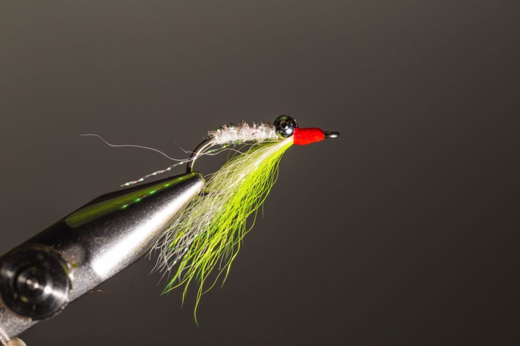 10 Best Saltwater Flies (Fly Guide's Choice) - Into Fly Fishing