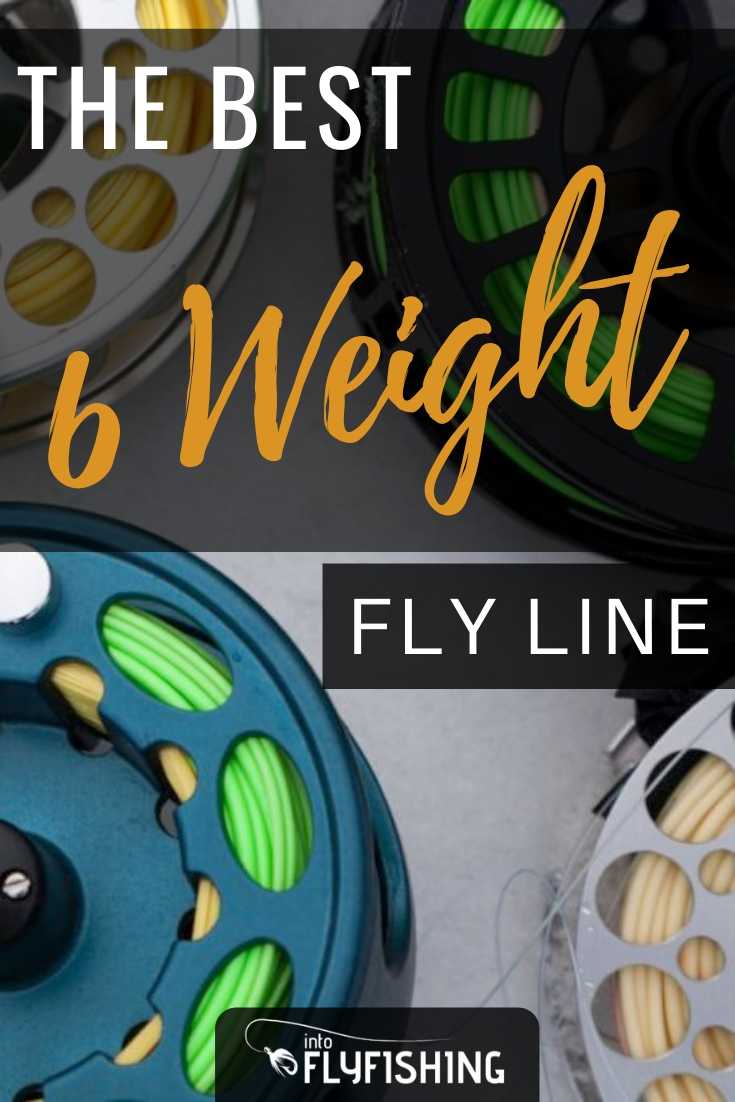 Best 6 Weight Fly Line in 2023 - Into Fly Fishing