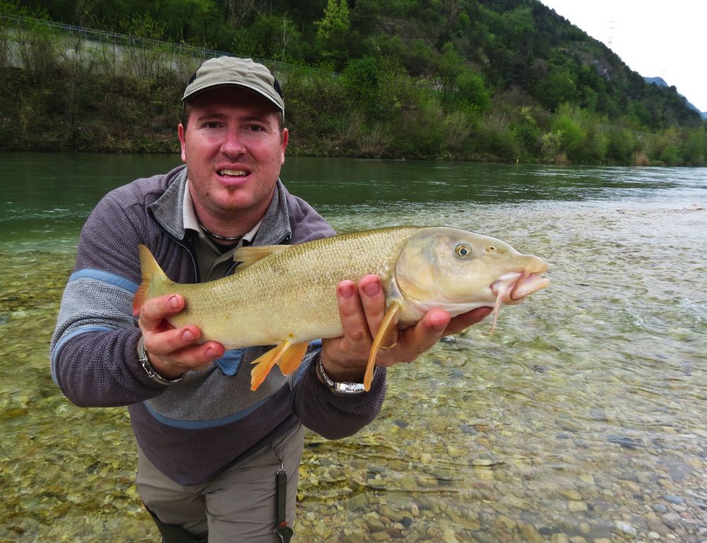 Barbel Fish Species