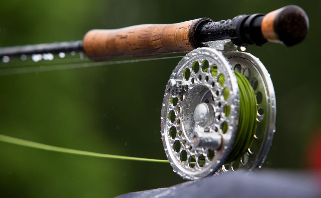 best fly rod on a budget