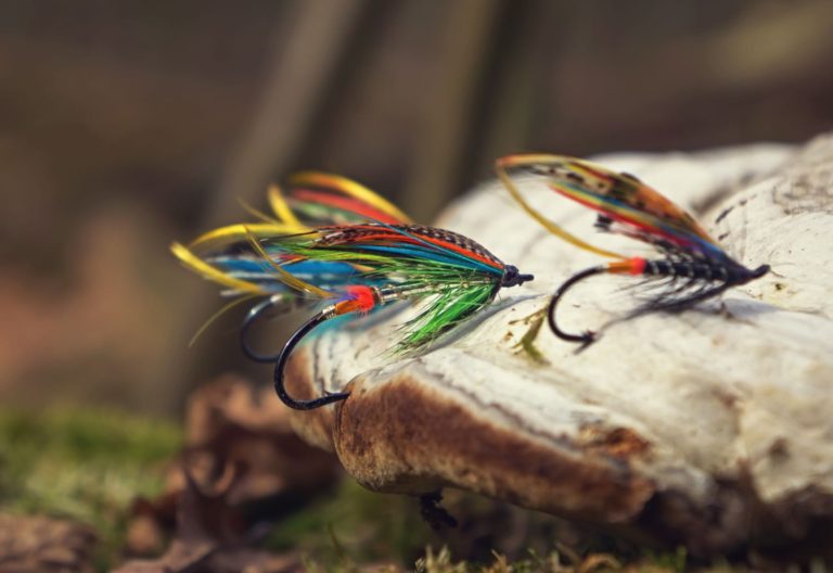 Best Salmon Flies A Guide To Productive Salmon Patterns