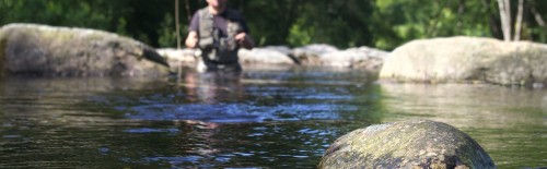 Dry Fly Fishing with a buzzer set-up