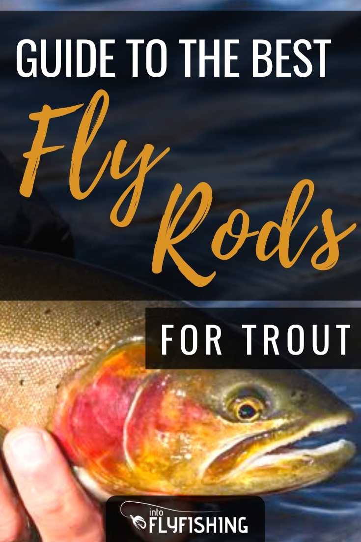 Best Fly Rods for Trout (2024 Buyer's Guide) - Into Fly Fishing