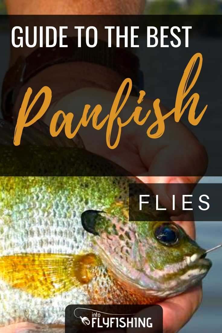 Best Panfish Flies: A Guide To Productive Panfish Patterns - Into Fly  Fishing