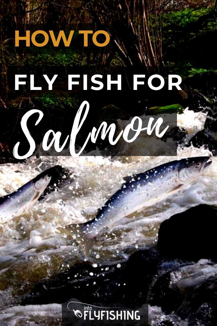 Fly Fishing Salmon: Tips To Determine the Best Fly for Your Needs