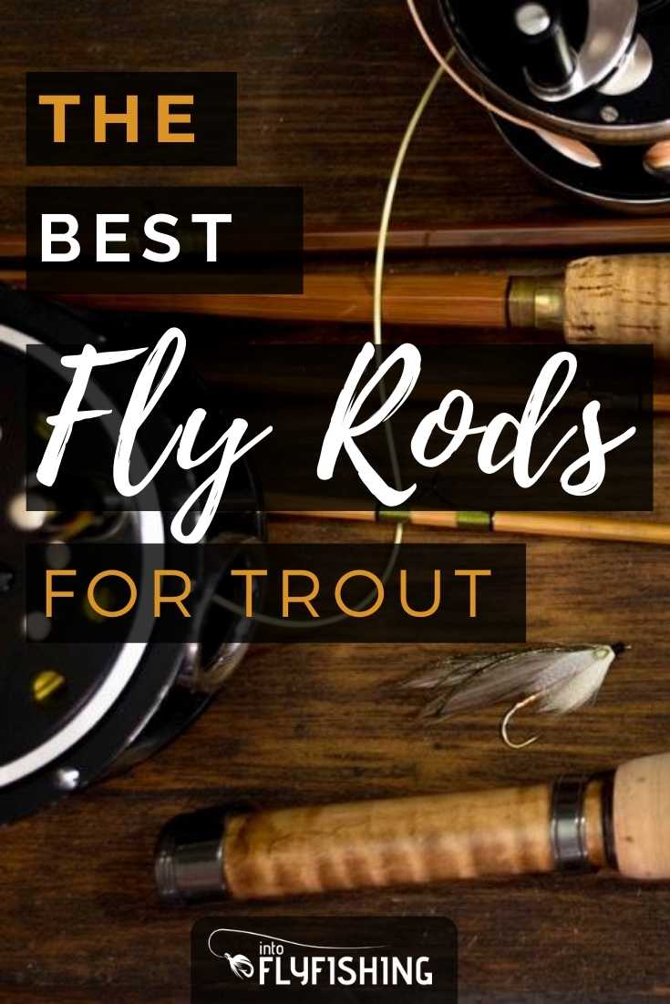 Best Fly Rods for Trout (2024 Buyer's Guide) - Into Fly Fishing