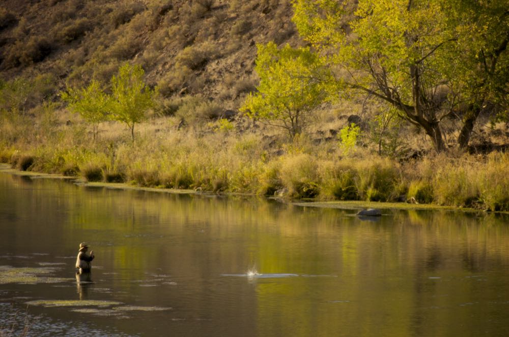 Best Largemouth Bass Flies: A Guide To Productive Largemouth Bass Patterns  - Into Fly Fishing