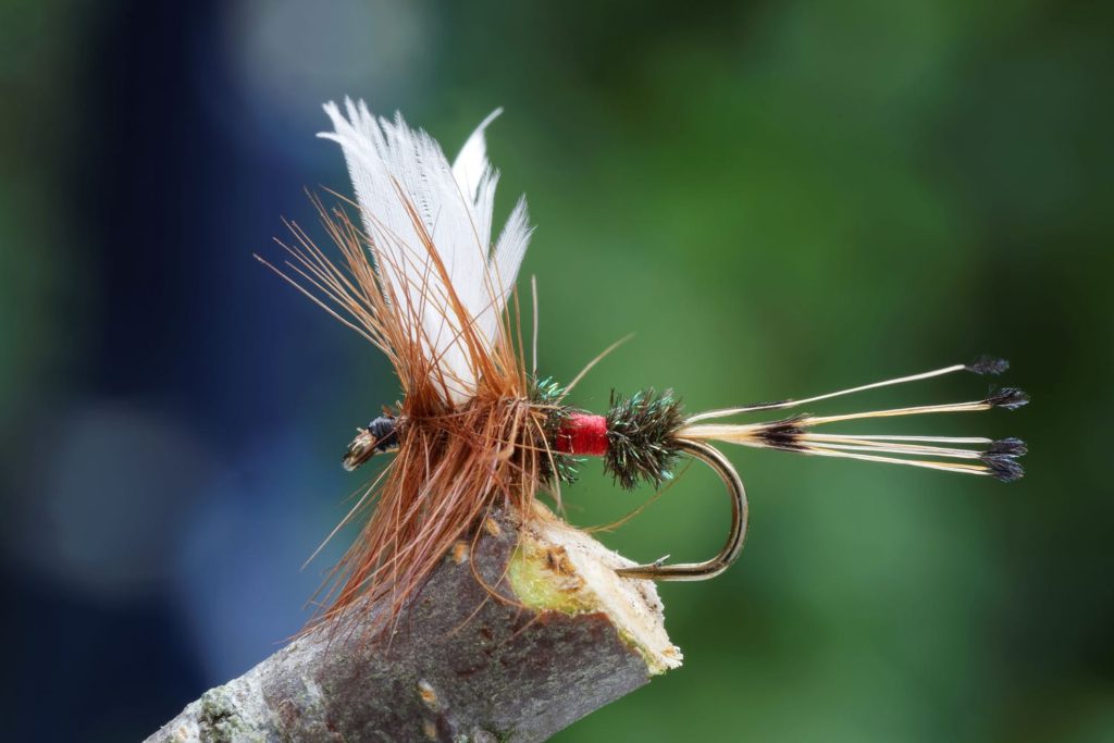 One of the Best Dry Flies - featured image