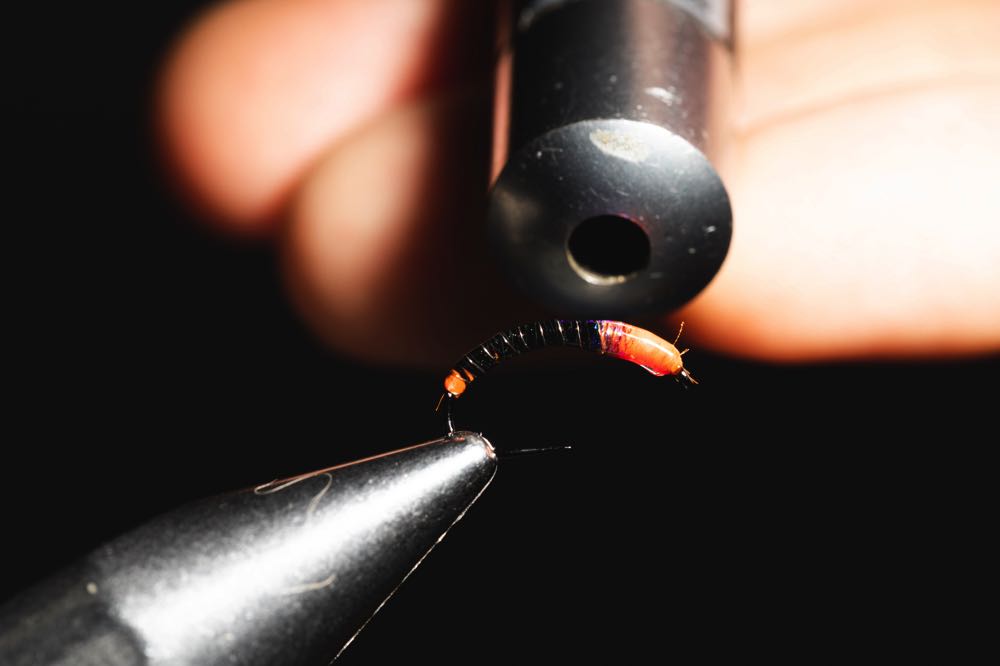 How to Tie a Basic Buzzer Fly (StepByStep With Video) Into Fly Fishing