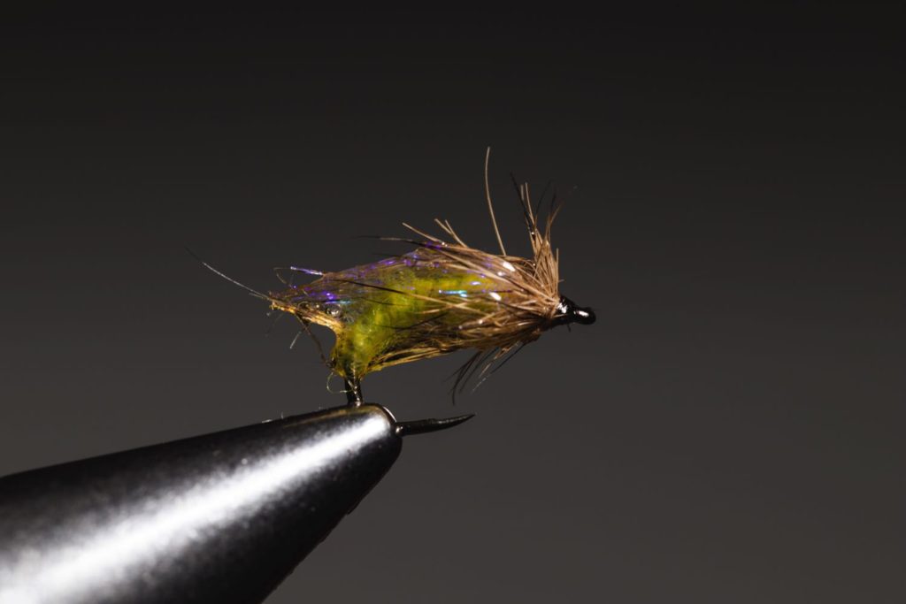 How To Tie a Caddis Emerger Fly