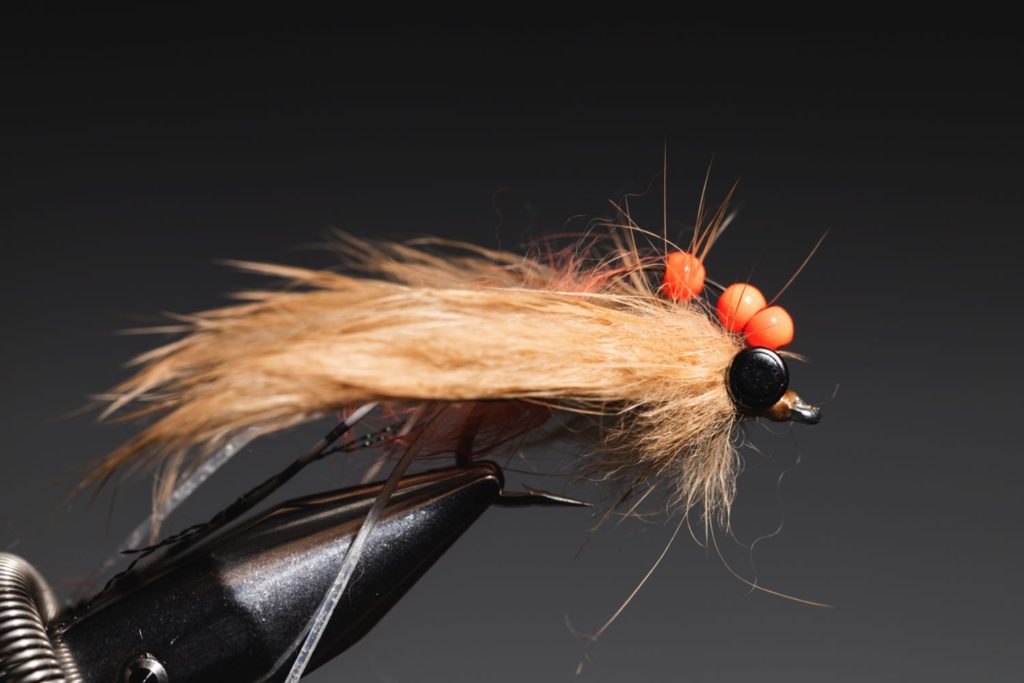 How To Tie an Avalon Shrimp - Featured Image