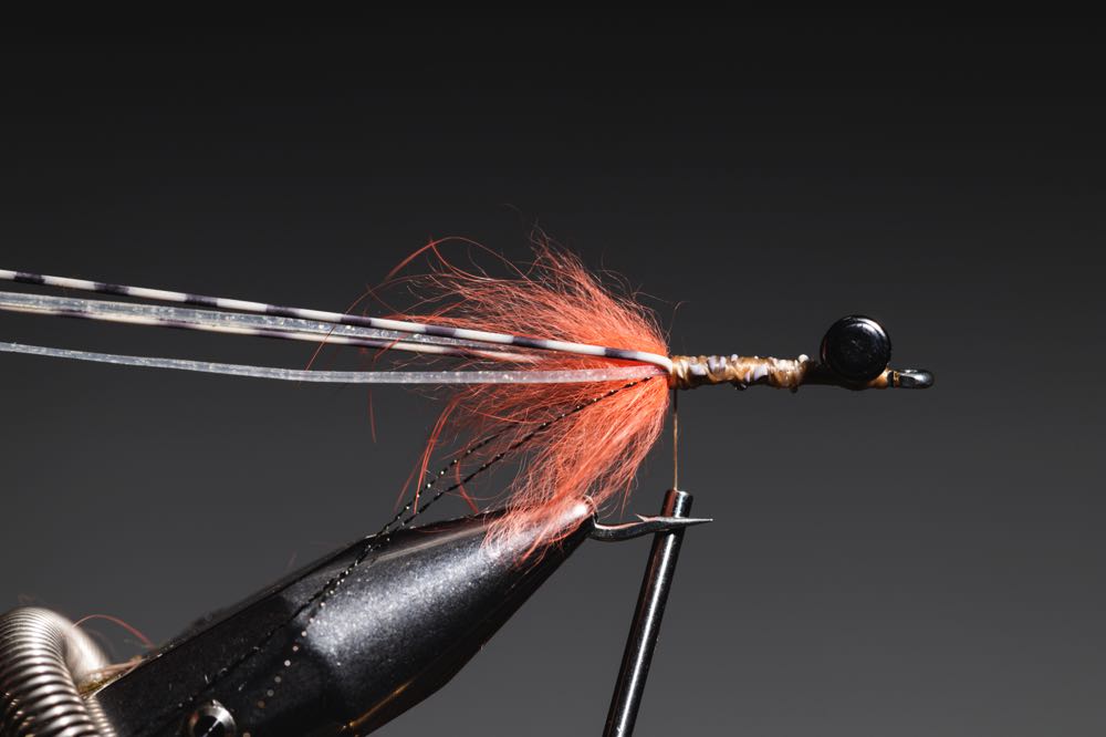 How To Tie An Avalon Shrimp (StepByStep With Video) Into Fly Fishing
