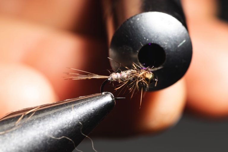 Gold Ribbed Hare_s Ear step-19learn how to tie a
