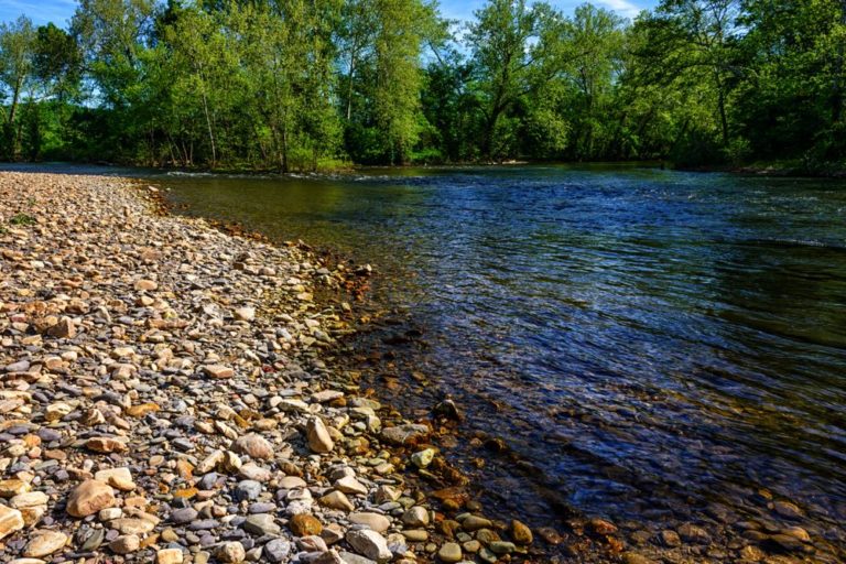 Jackson River (Tailwater)