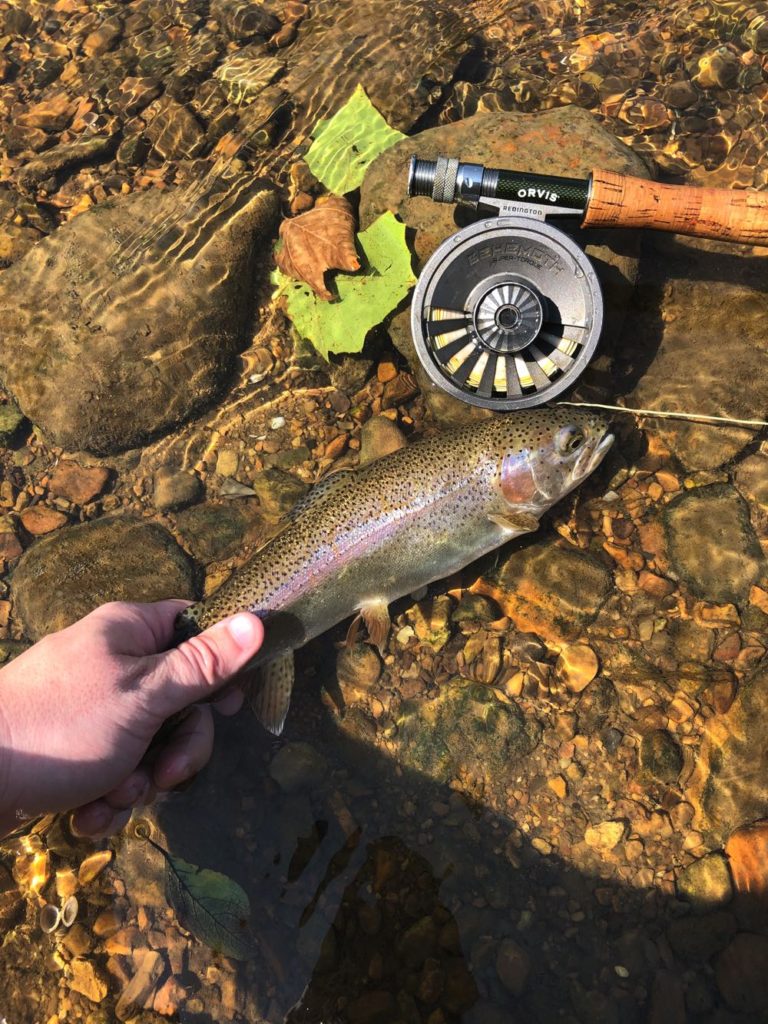 Redington Behemoth Review (Hands-On & Tested) - Into Fly Fishing