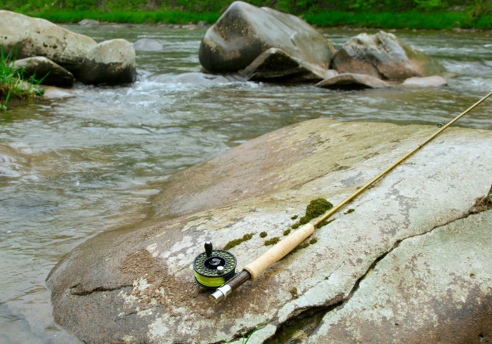 Best Fly Rods for Under $200 (2023 Buyers Guide) - Into Fly Fishing