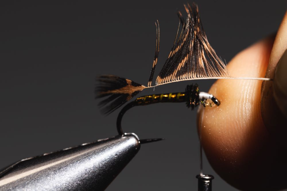 How To Tie a Soft Hackle (StepByStep With Video) Into Fly Fishing