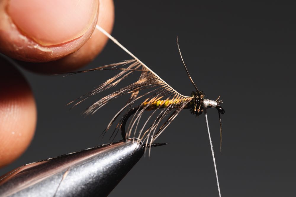 How To Tie a Soft Hackle (StepByStep With Video) Into Fly Fishing